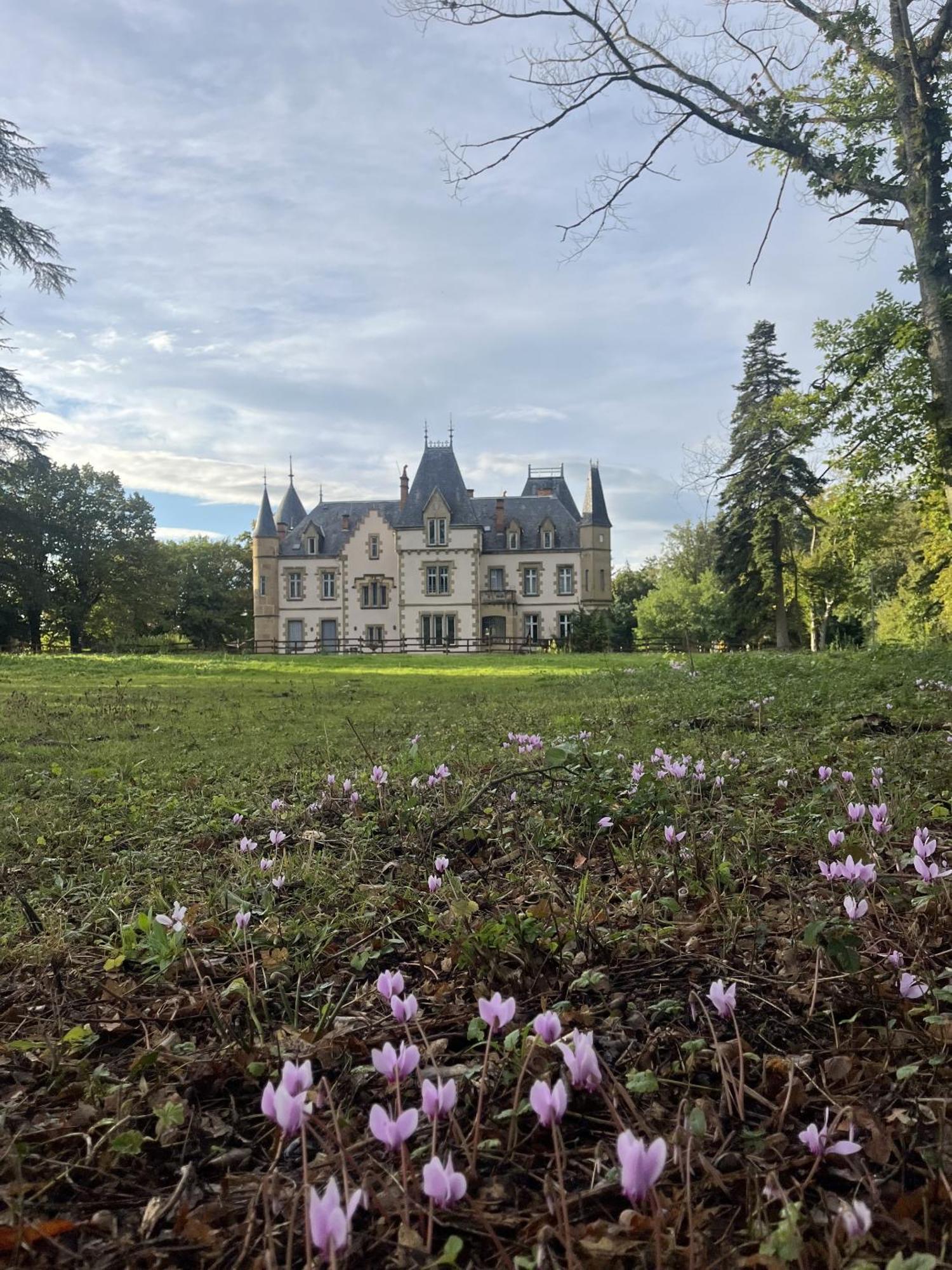 Chateau Y Fault Loriges